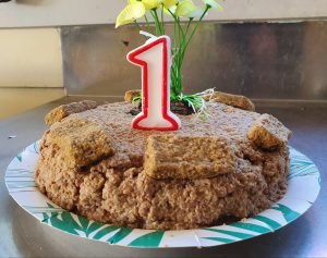 Koda's birthday cake was made with gluten-free/grain-free dog food and treats.